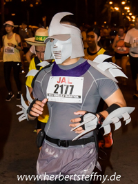 Honolulu Marathon 2016